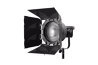 NanLite Forza500/300 FL-20 Fresnel Lens
