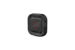 GoPro Remo (Waterproof Voice Activated Remote)