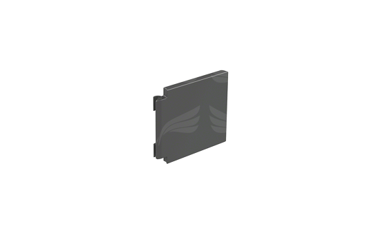 GoPro Replacement Door (HERO5 Session™)